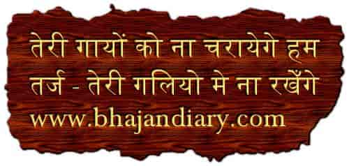 तेरी गायो को ना चरायेगे हम भजन लिरिक्स