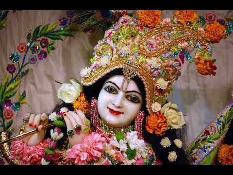 श्री श्याम जपो हर वक़्त वक़्त लख्खा जी भजन लिरिक्स