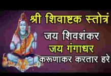 जय शिवशंकर जय गंगाधर शिवाष्टक स्त्रोत्र लिरिक्स