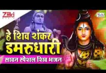 हे शिव शंकर डमरुधारी गंगाधारी हे त्रिपुरारी भजन लिरिक्स